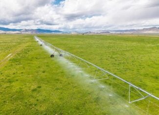 1,280± Acre Hay Ranch for Sale Near Saguache, CO
