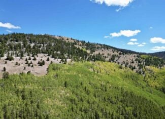 140 ± Acre Mountain Property for Sale in Whitepine, Colorado