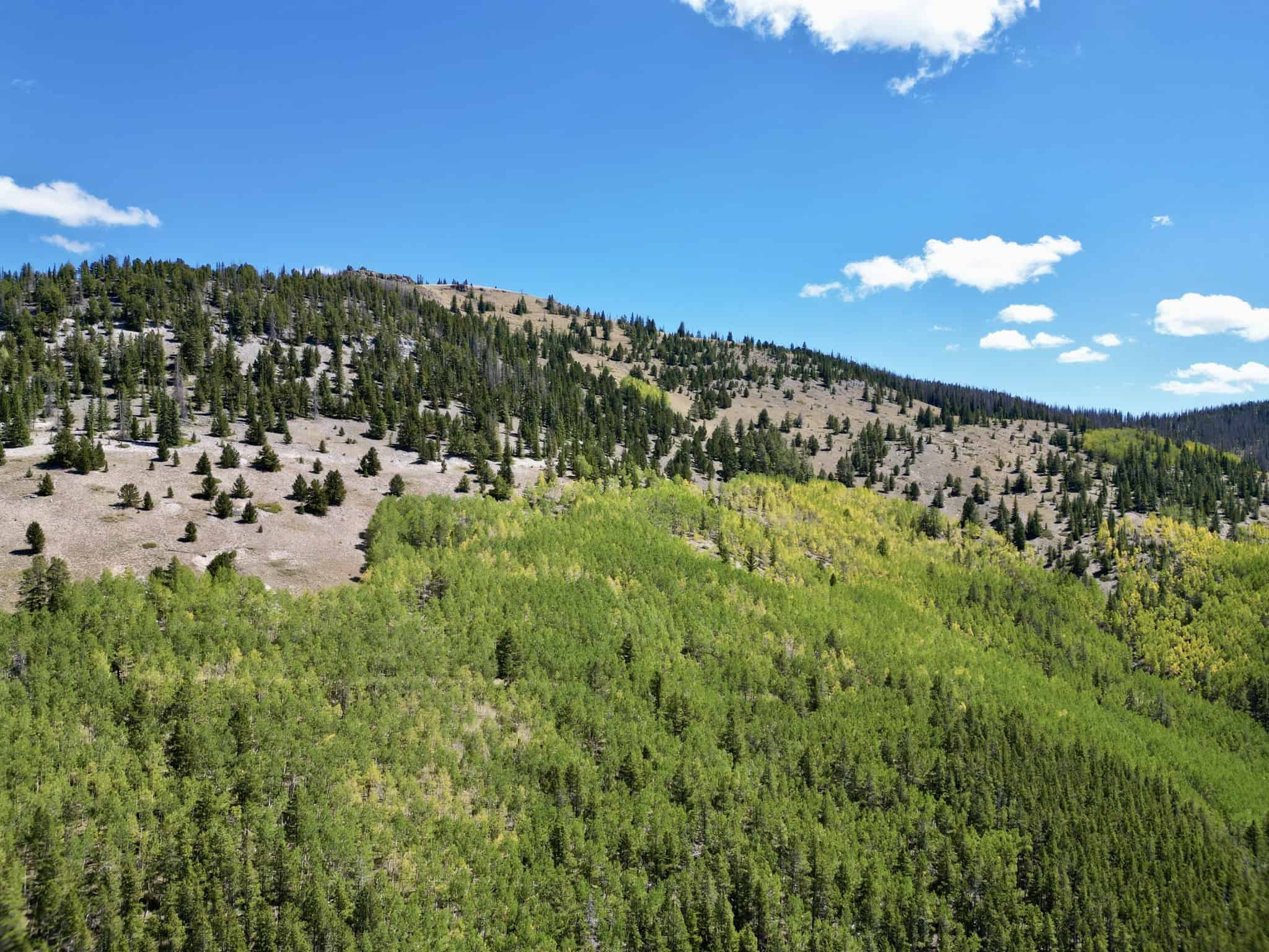 140 ± Acre Mountain Property for Sale in Whitepine, Colorado