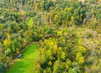 Turnkey 28± Acre Hunting Property Near Melrose, Wisconsin