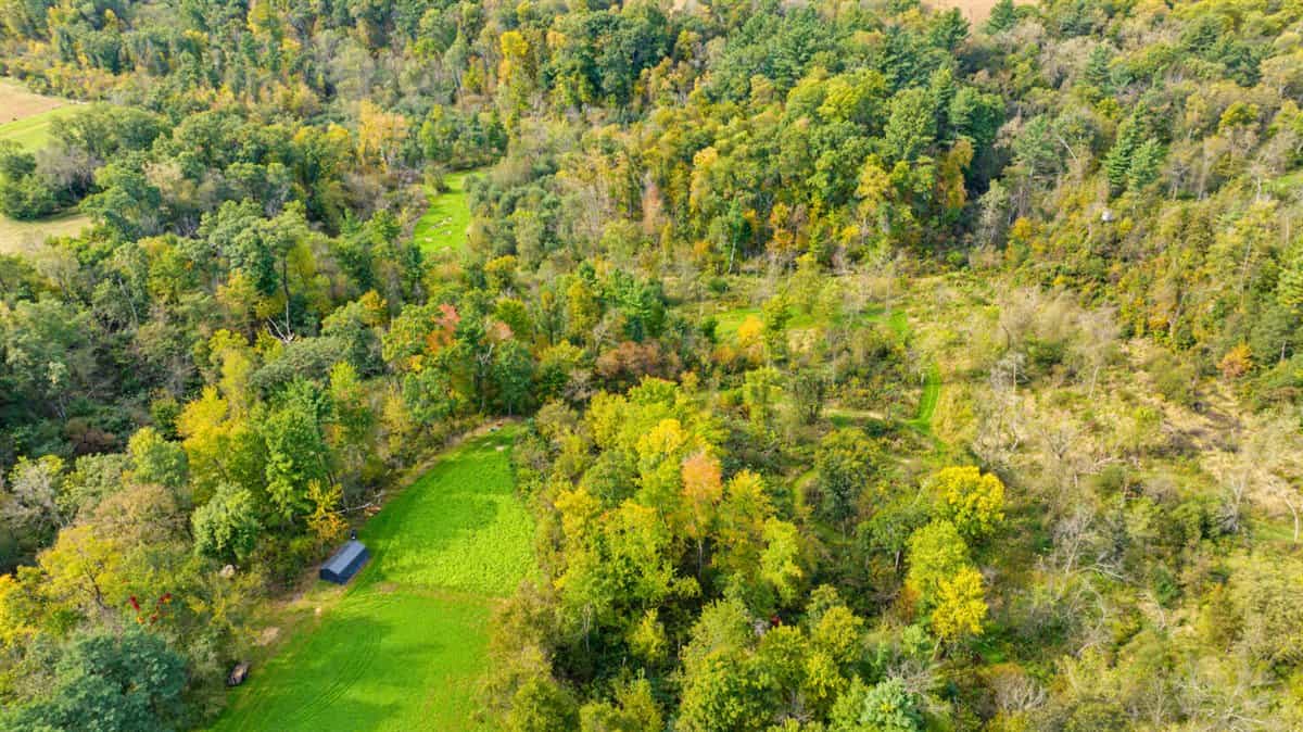 Turnkey 28± Acre Hunting Property Near Melrose, Wisconsin