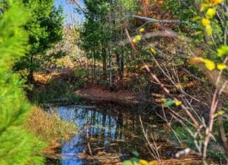 28± Acre Hunting Property with Cabin | Monroe County, Wisconsin