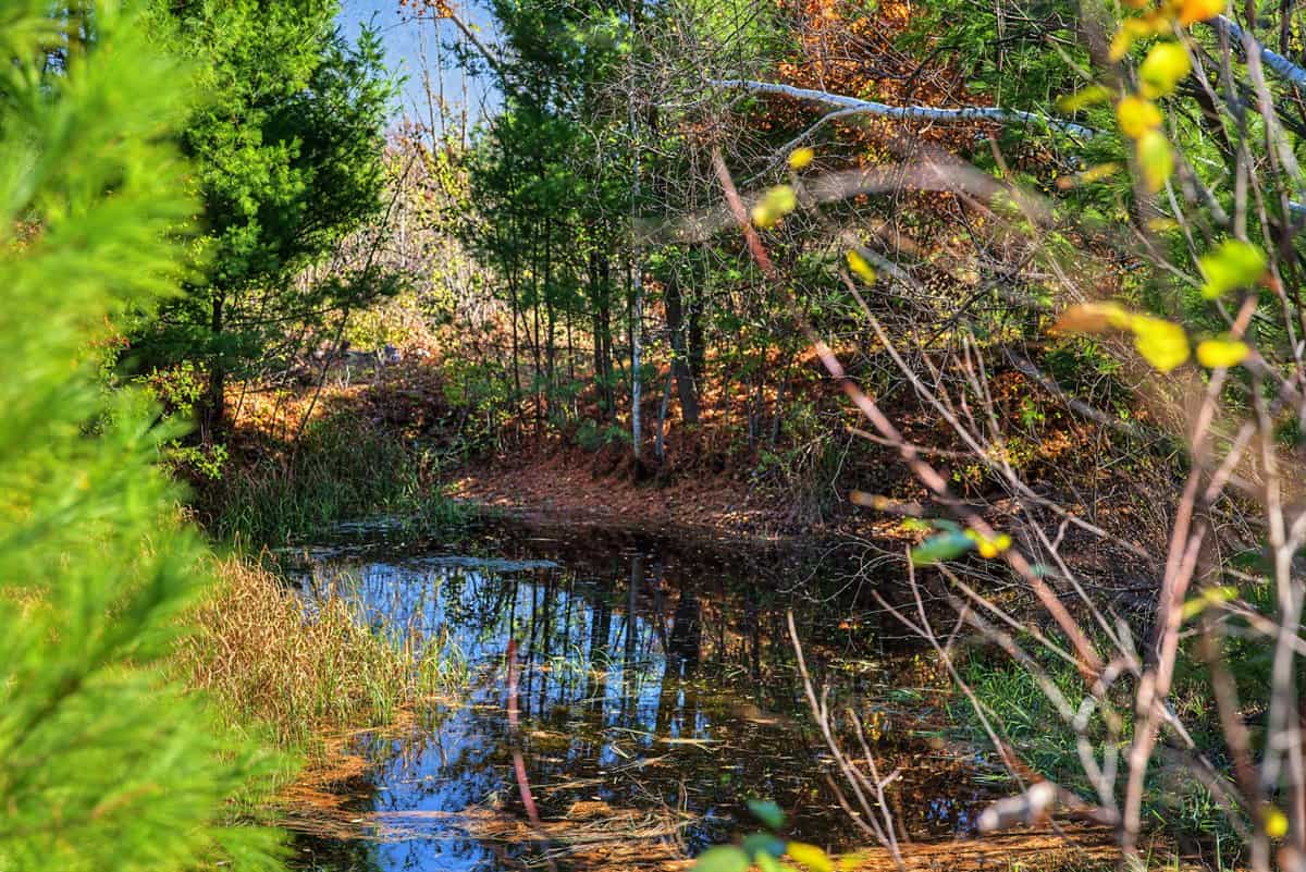 28± Acre Hunting Property with Cabin | Monroe County, Wisconsin