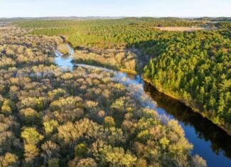 288± Acre Farm, Hunting & Black River Property | Melrose, Jackson County, WI