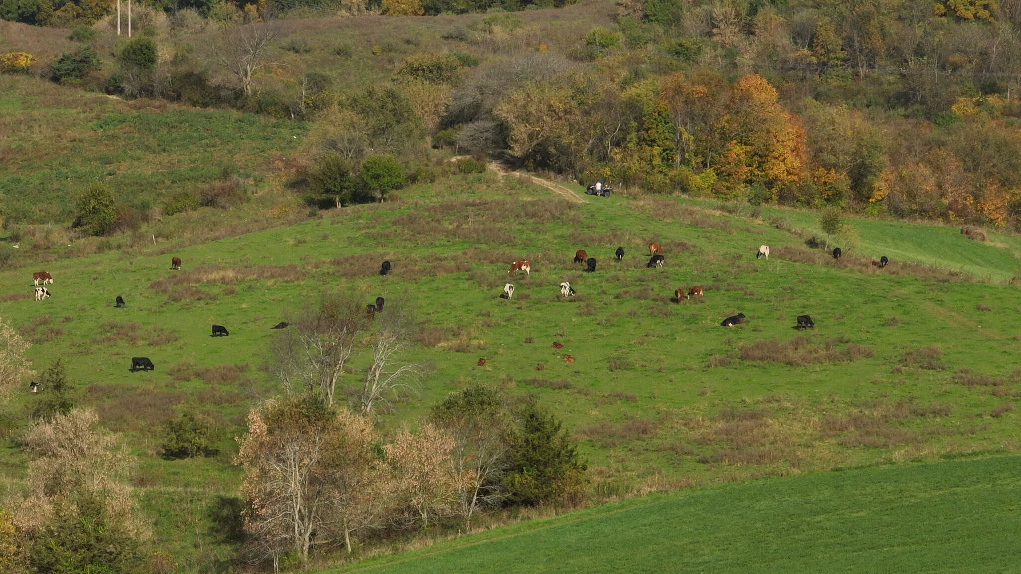 248+/- Acre Income-Producing Farm, Cattle Ranch & Hunting Estate in Richland County, Wisconsin