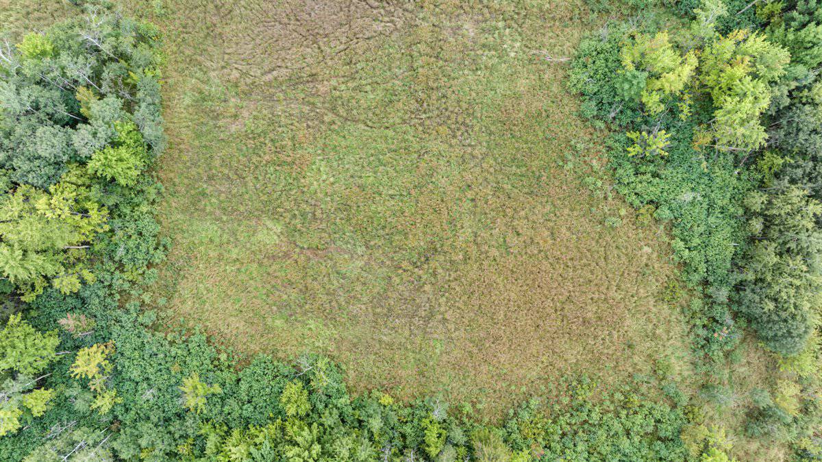 Proven big buck producer 121 Acres in Monroe County