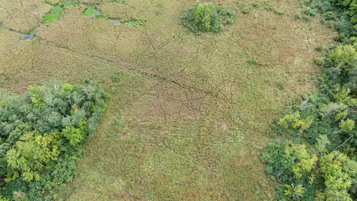 Proven big buck producer 121 Acres in Monroe County