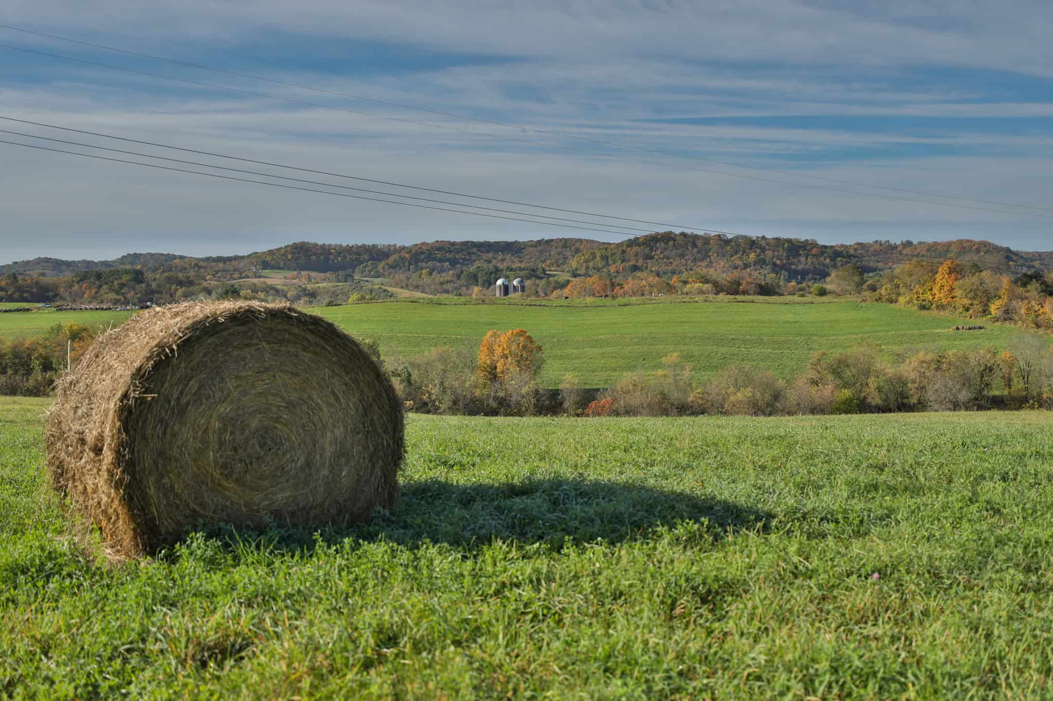 248+/- Acre Income-Producing Farm, Cattle Ranch & Hunting Estate in Richland County, Wisconsin