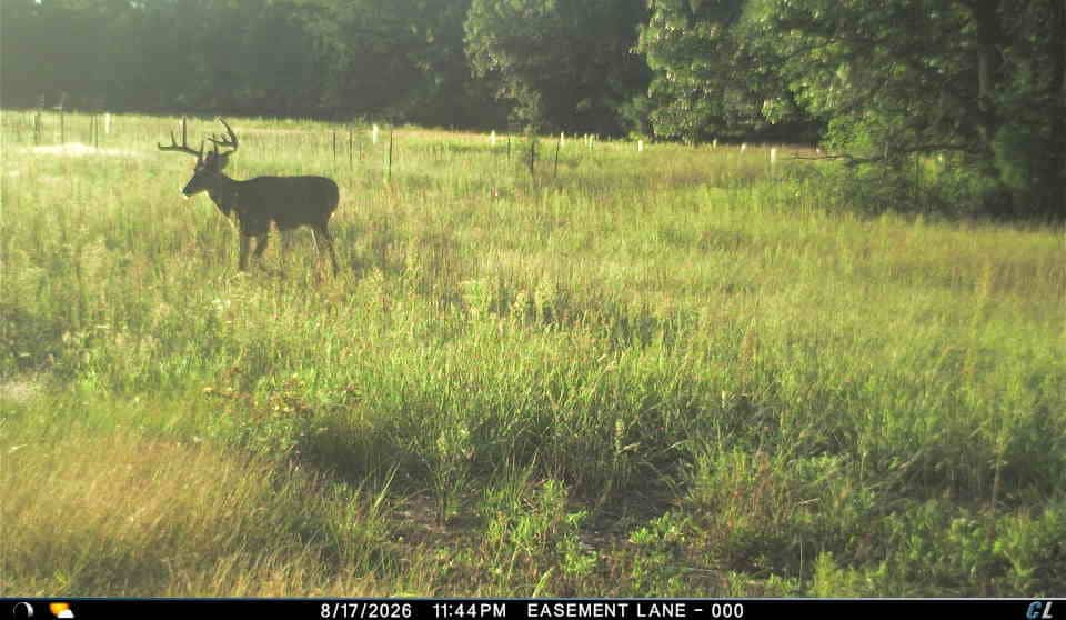 30-Acre Hunting & Camping Retreat with Food Plots, Well & RV Hookups | Adams County, Wisconsin