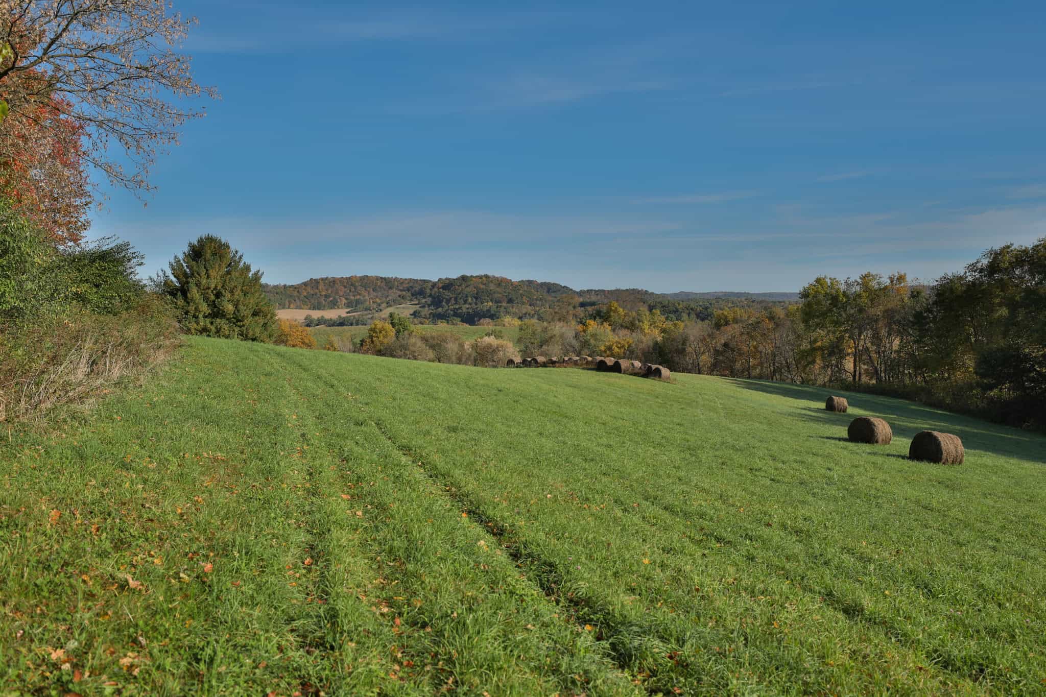 248+/- Acre Income-Producing Farm, Cattle Ranch & Hunting Estate in Richland County, Wisconsin