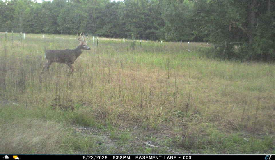 30-Acre Hunting & Camping Retreat with Food Plots, Well & RV Hookups | Adams County, Wisconsin