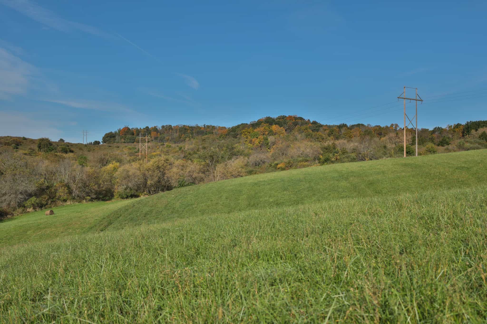 248+/- Acre Income-Producing Farm, Cattle Ranch & Hunting Estate in Richland County, Wisconsin