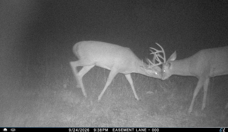 30-Acre Hunting & Camping Retreat with Food Plots, Well & RV Hookups | Adams County, Wisconsin