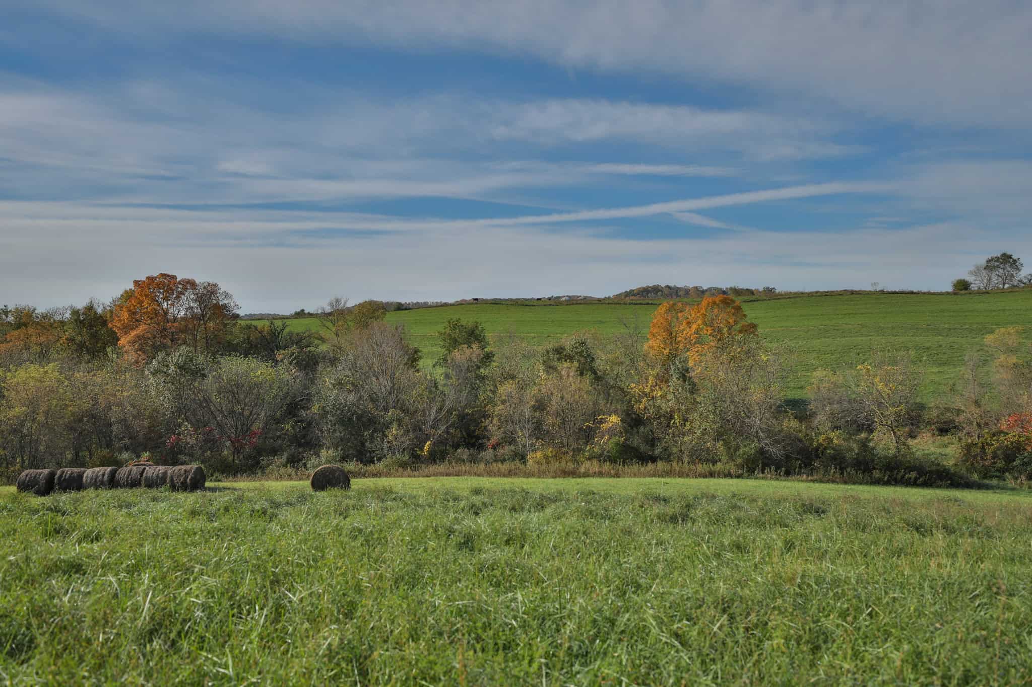 248+/- Acre Income-Producing Farm, Cattle Ranch & Hunting Estate in Richland County, Wisconsin