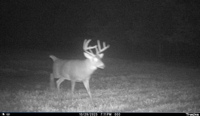 30-Acre Hunting & Camping Retreat with Food Plots, Well & RV Hookups | Adams County, Wisconsin