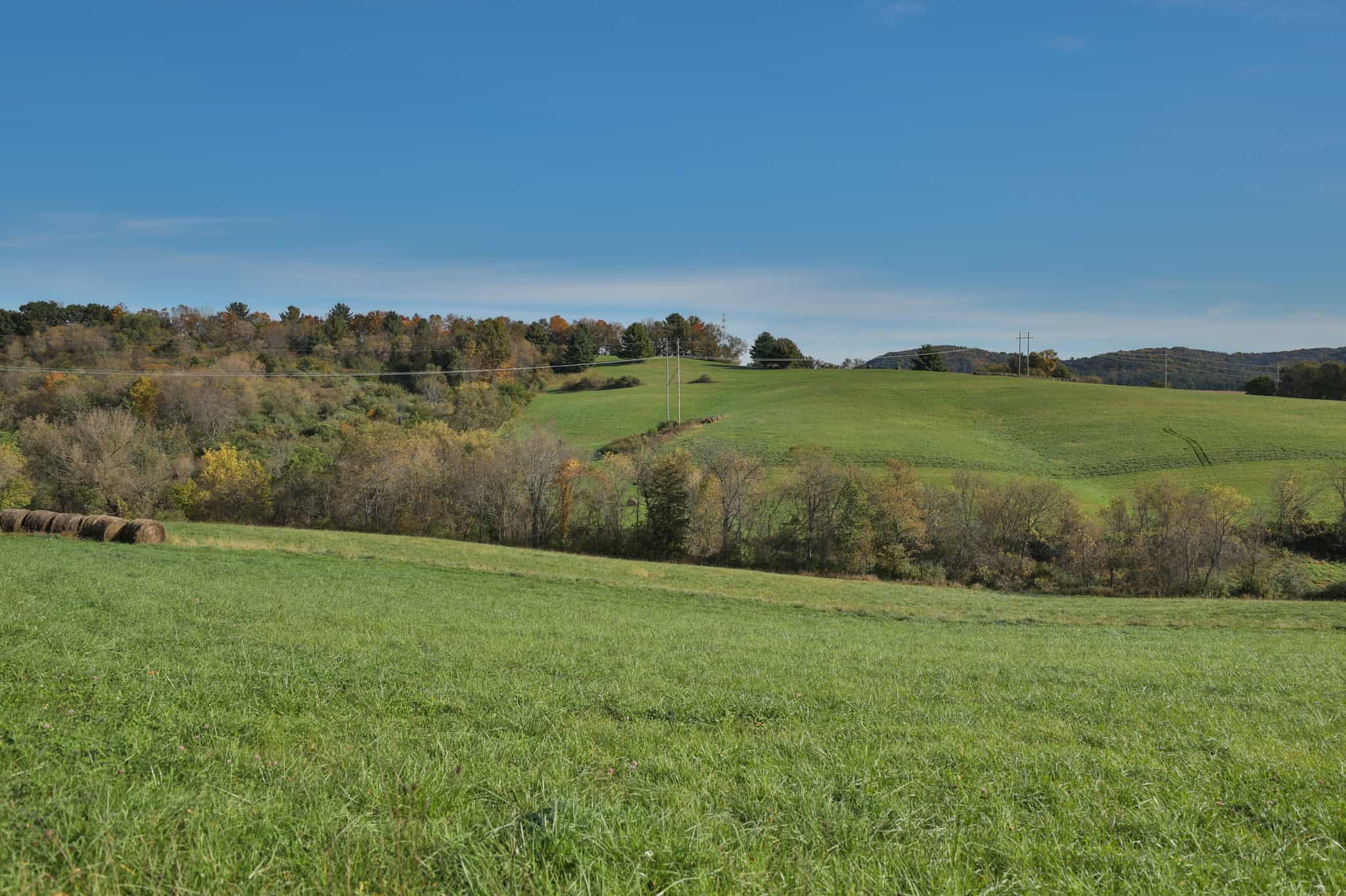 248+/- Acre Income-Producing Farm, Cattle Ranch & Hunting Estate in Richland County, Wisconsin