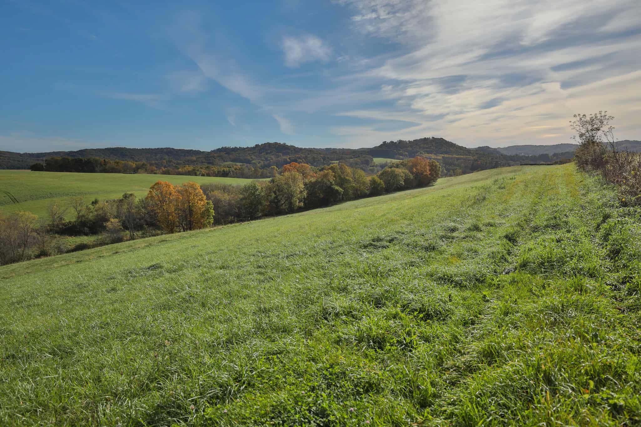 248+/- Acre Income-Producing Farm, Cattle Ranch & Hunting Estate in Richland County, Wisconsin