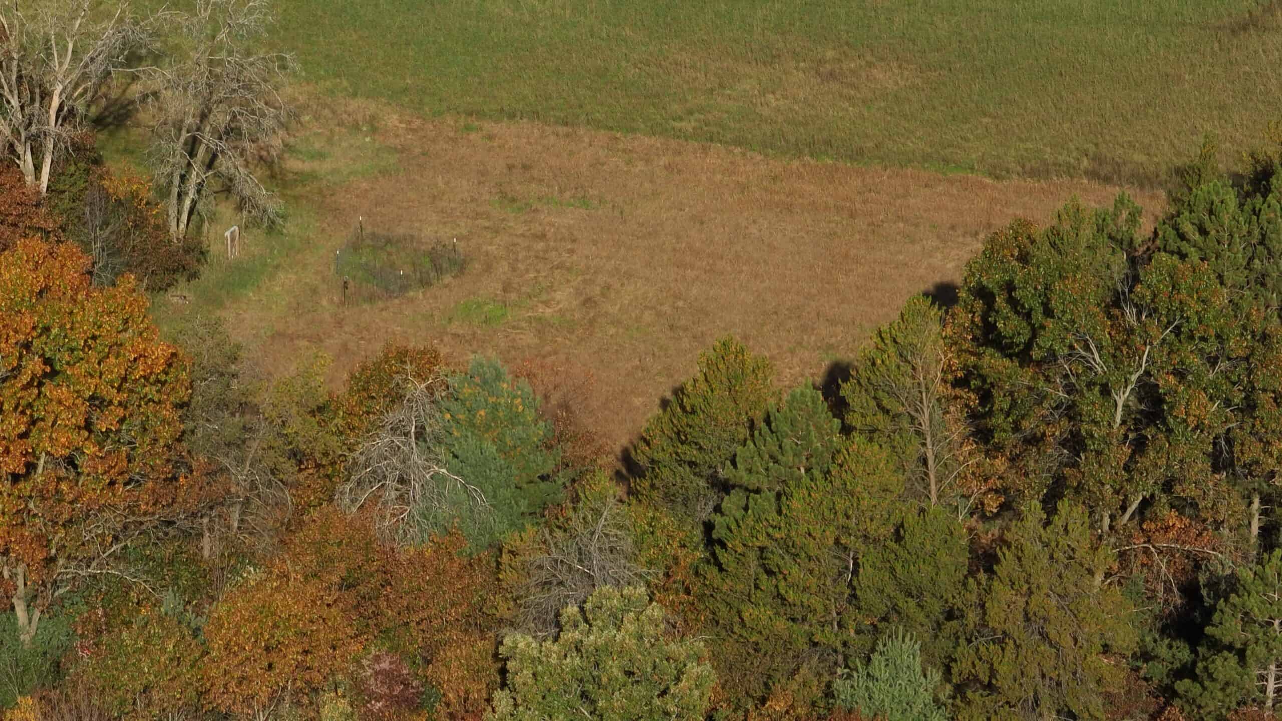 30-Acre Hunting & Camping Retreat with Food Plots, Well & RV Hookups | Adams County, Wisconsin