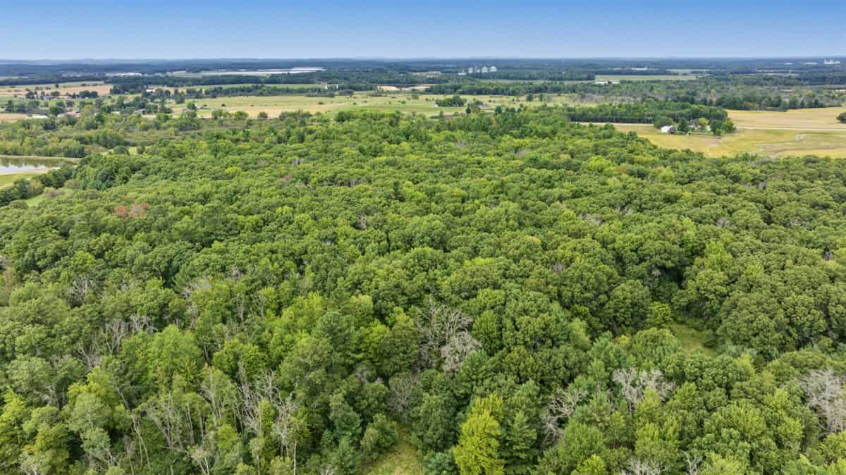 Proven big buck producer 121 Acres in Monroe County