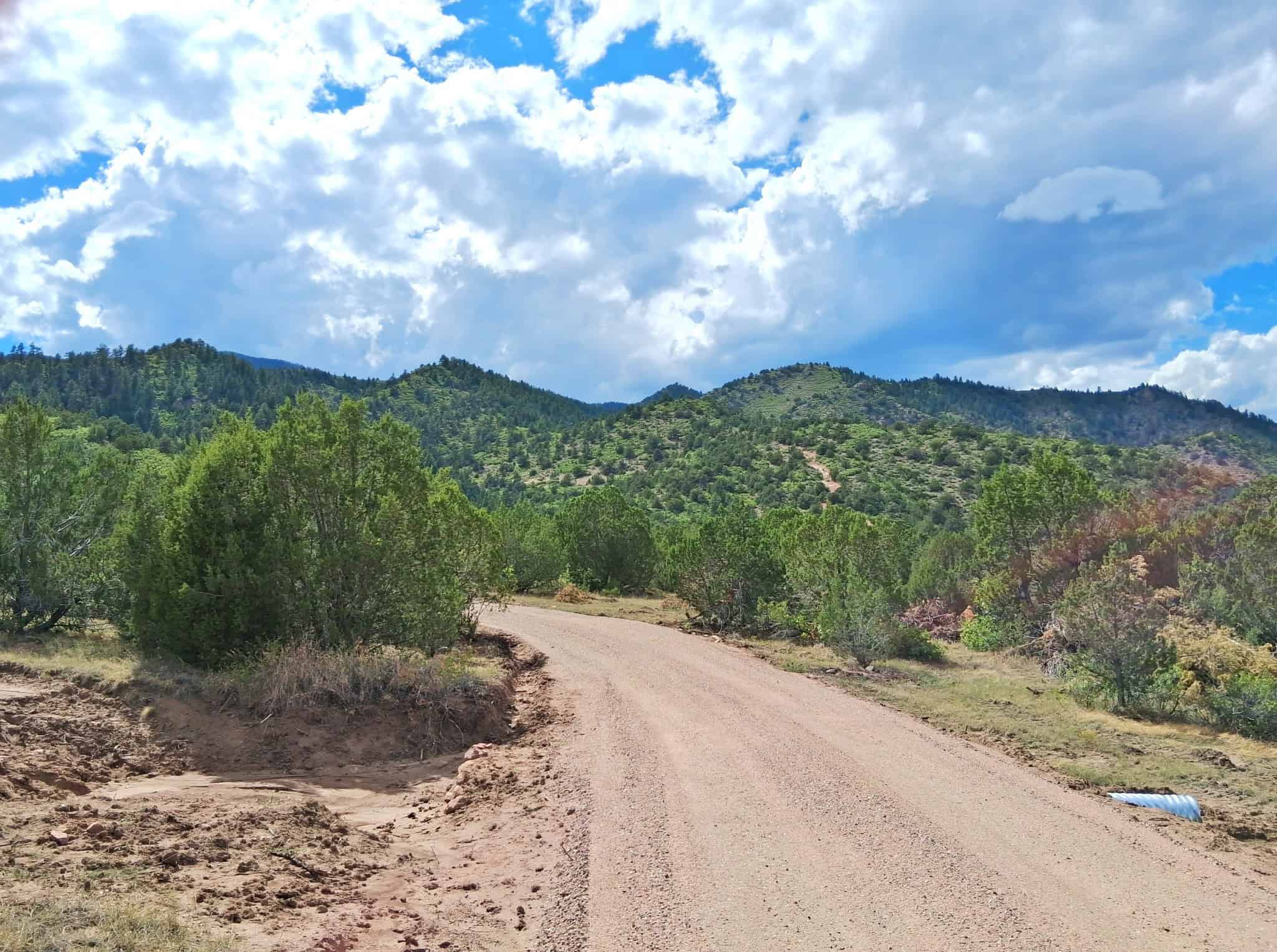 170.68 ± Acre Hunting Ranch by National Forest | Florence, CO