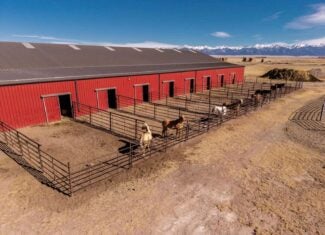 1,280± Acre Hay Ranch for Sale Near Saguache, CO