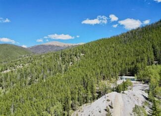 140 ± Acre Mountain Property for Sale in Whitepine, Colorado