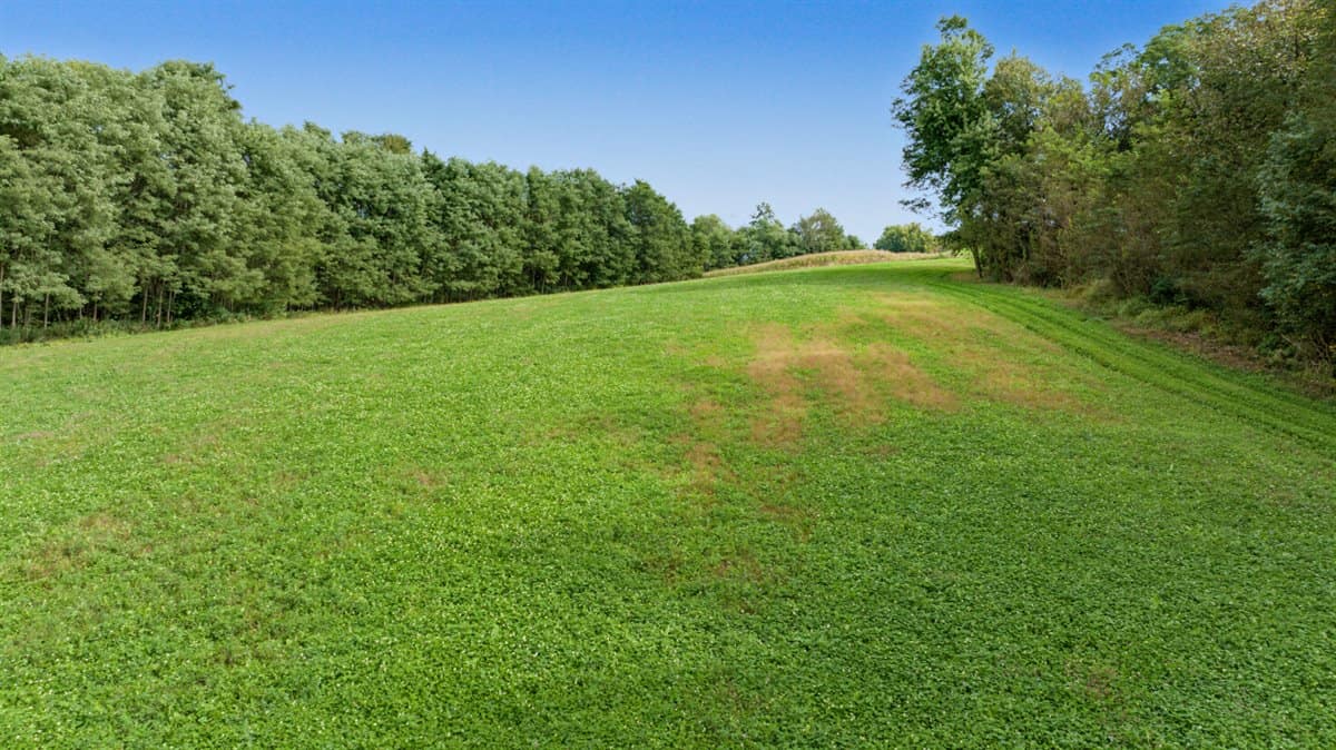 Turnkey 28± Acre Hunting Property Near Melrose, Wisconsin