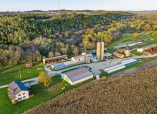 288± Acre Farm, Hunting & Black River Property | Melrose, Jackson County, WI
