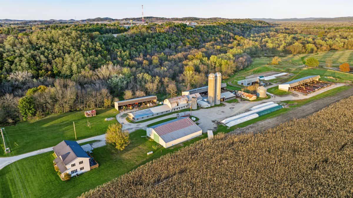 288± Acre Farm, Hunting & Black River Property | Melrose, Jackson County, WI