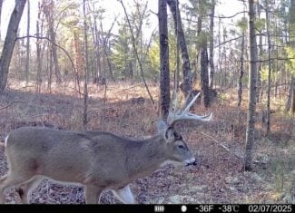 28± Acre Hunting Property with Cabin | Monroe County, Wisconsin