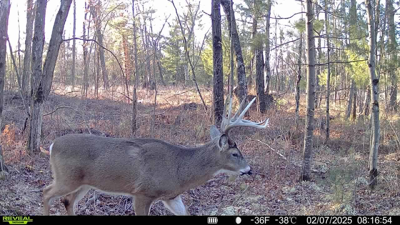 28± Acre Hunting Property with Cabin | Monroe County, Wisconsin