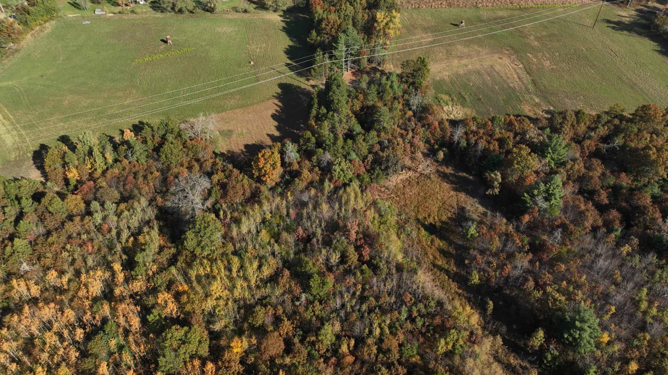 30-Acre Hunting & Camping Retreat with Food Plots, Well & RV Hookups | Adams County, Wisconsin