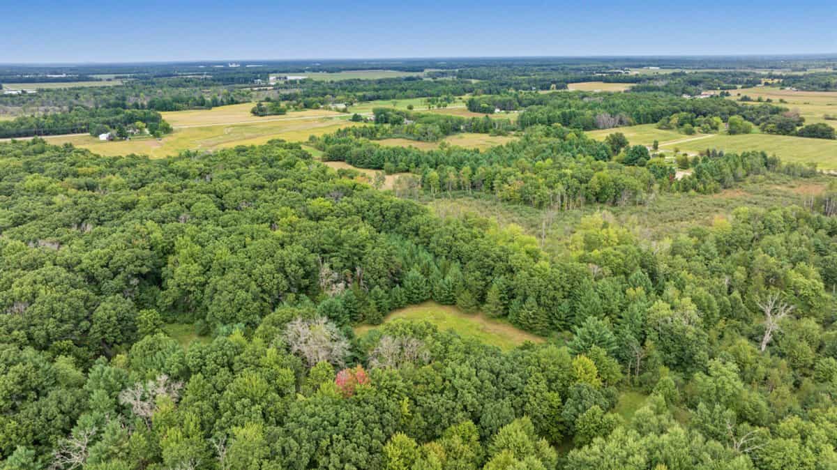 Proven big buck producer 121 Acres in Monroe County