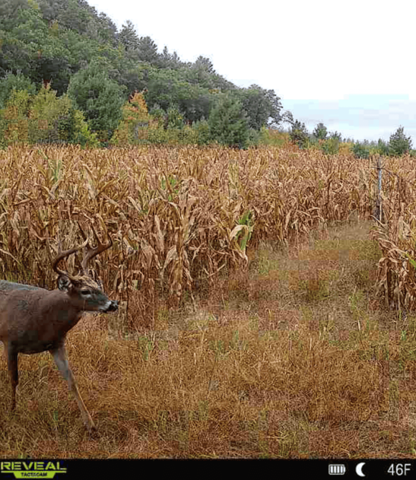 Own Your Own Private Lake | 40-Acre Fishing & Hunting Retreat – Tomah, Wisconsin