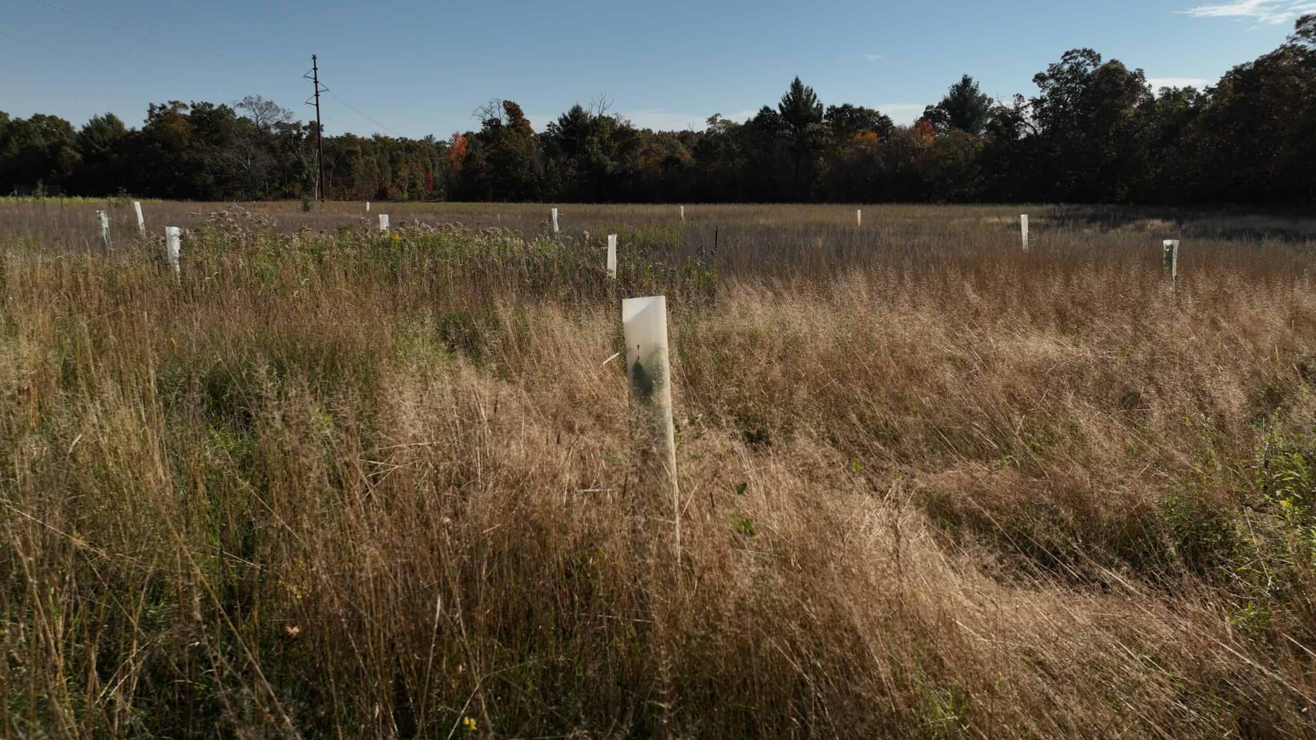 30-Acre Hunting & Camping Retreat with Food Plots, Well & RV Hookups | Adams County, Wisconsin