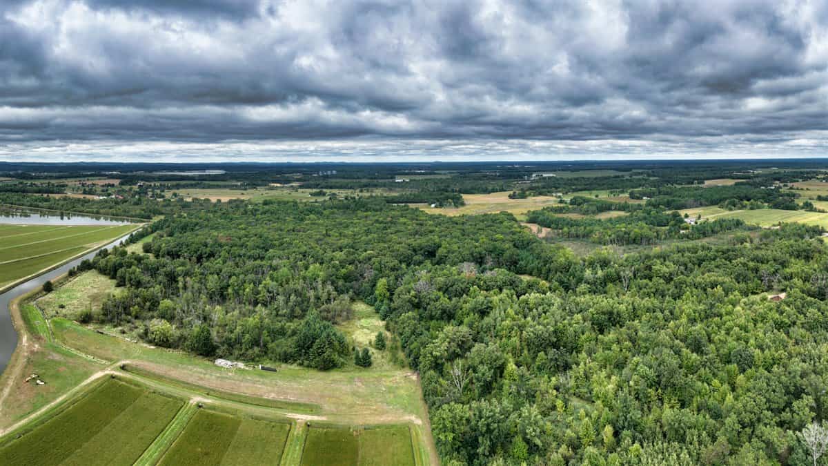 Proven big buck producer 121 Acres in Monroe County