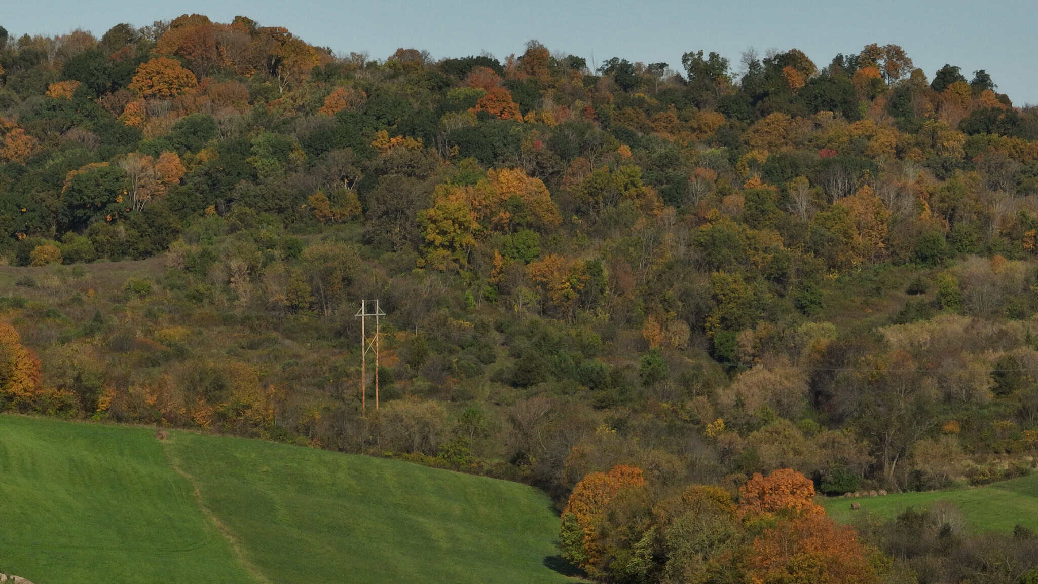 248+/- Acre Income-Producing Farm, Cattle Ranch & Hunting Estate in Richland County, Wisconsin