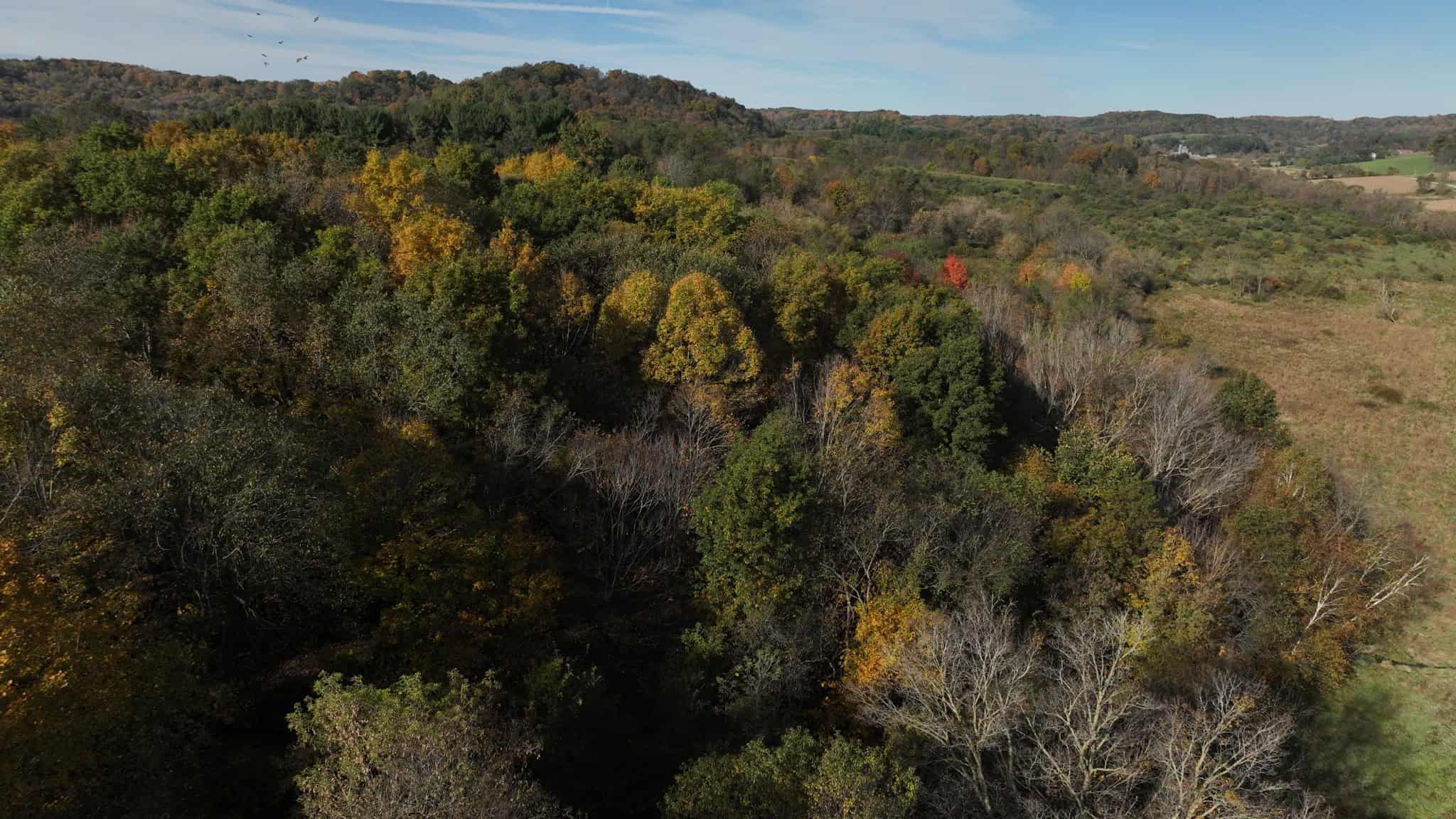 28+/- Acres of Wisconsin Countryside | Fenced Cattle Pasture, Hardwood Ridges, Stream & Dream Homesite