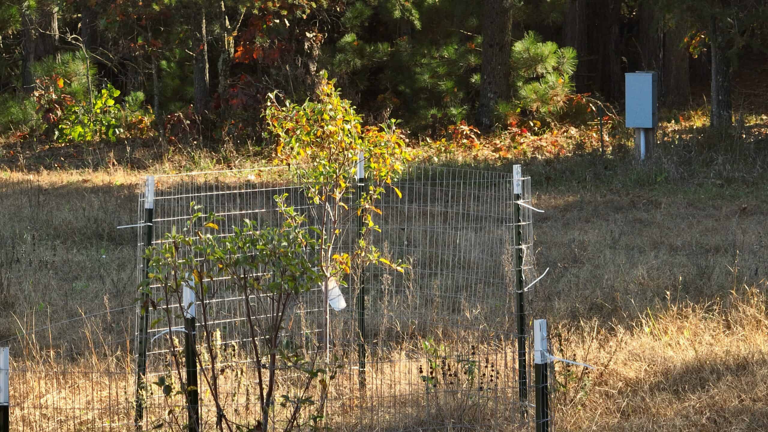 30-Acre Hunting & Camping Retreat with Food Plots, Well & RV Hookups | Adams County, Wisconsin