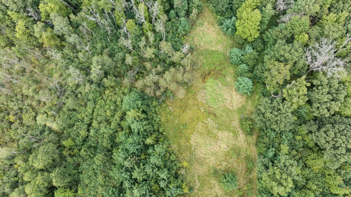 Proven big buck producer 121 Acres in Monroe County