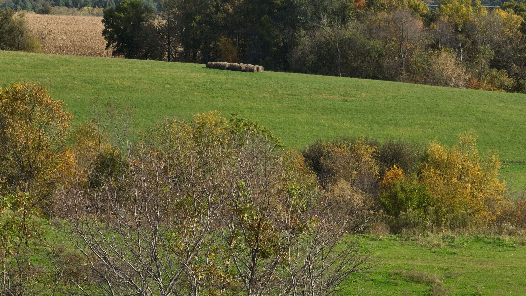 248+/- Acre Income-Producing Farm, Cattle Ranch & Hunting Estate in Richland County, Wisconsin