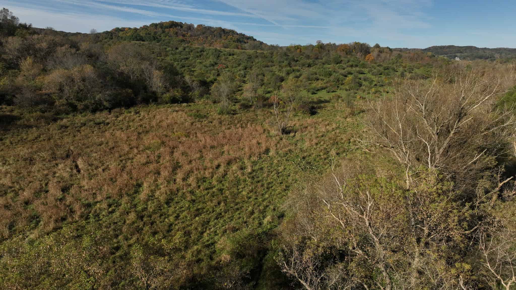 28+/- Acres of Wisconsin Countryside | Fenced Cattle Pasture, Hardwood Ridges, Stream & Dream Homesite