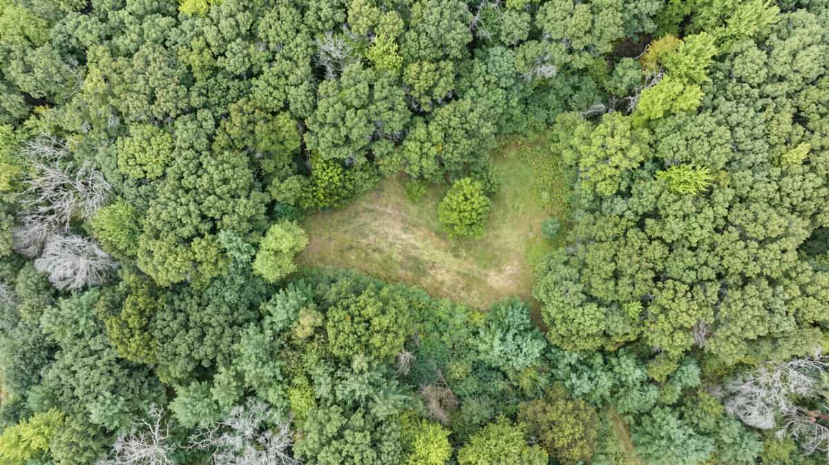 Proven big buck producer 121 Acres in Monroe County