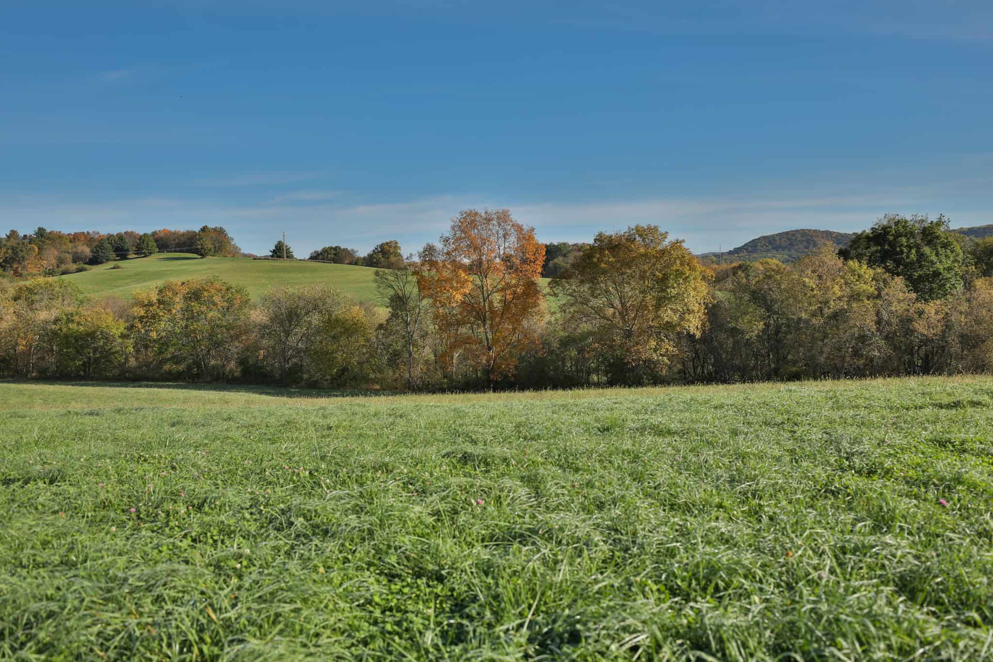 248+/- Acre Income-Producing Farm, Cattle Ranch & Hunting Estate in Richland County, Wisconsin
