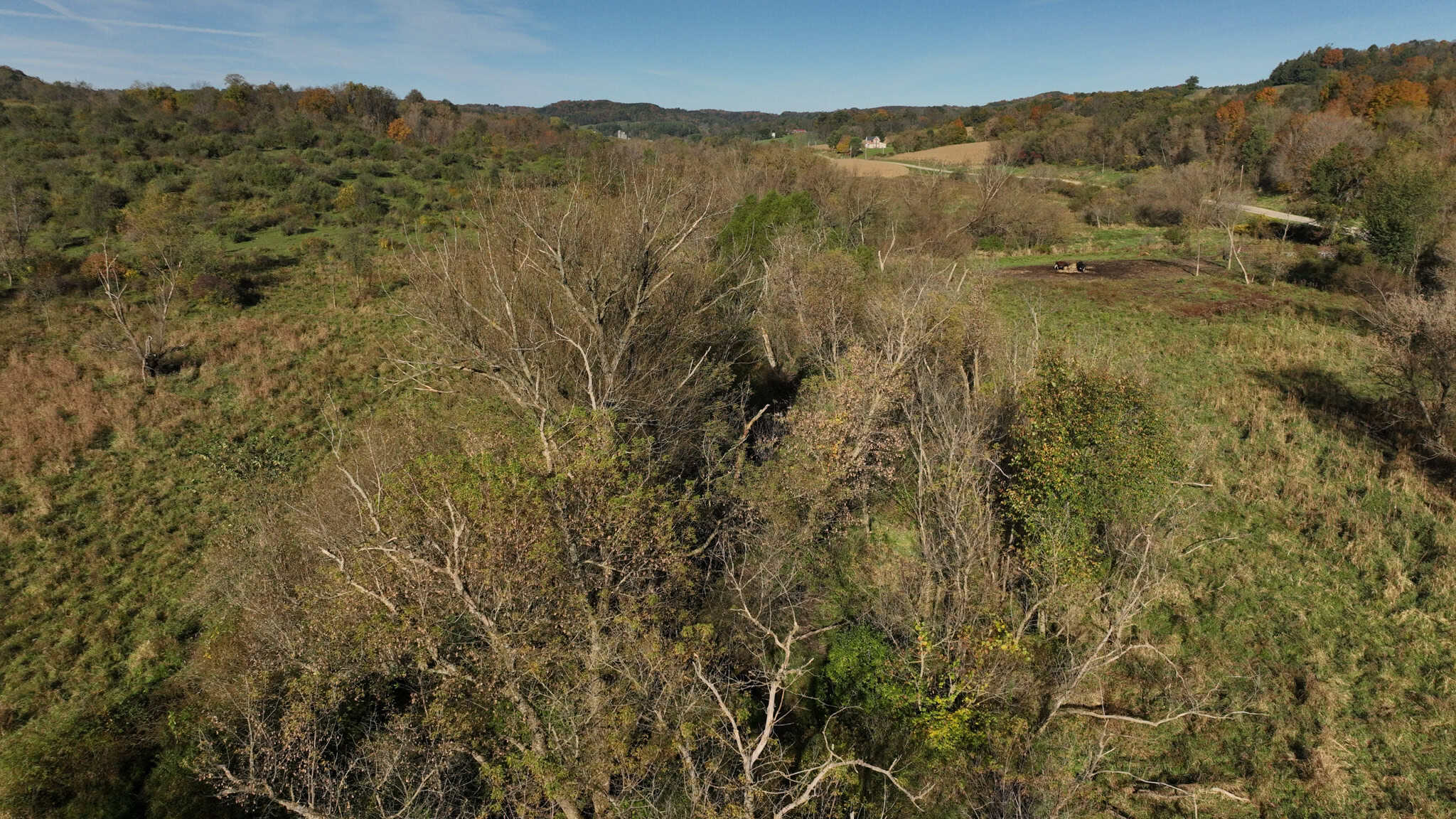 28+/- Acres of Wisconsin Countryside | Fenced Cattle Pasture, Hardwood Ridges, Stream & Dream Homesite