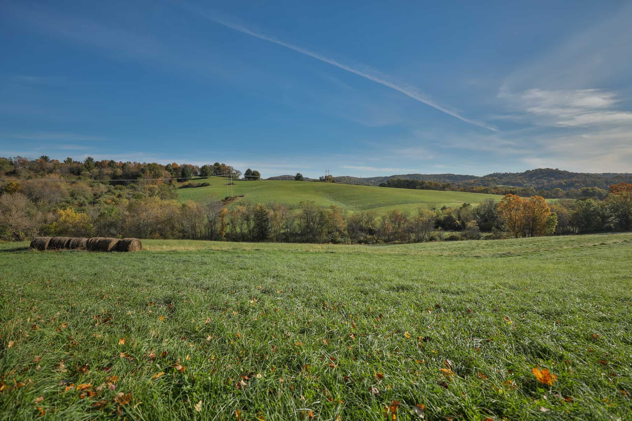 248+/- Acre Income-Producing Farm, Cattle Ranch & Hunting Estate in Richland County, Wisconsin