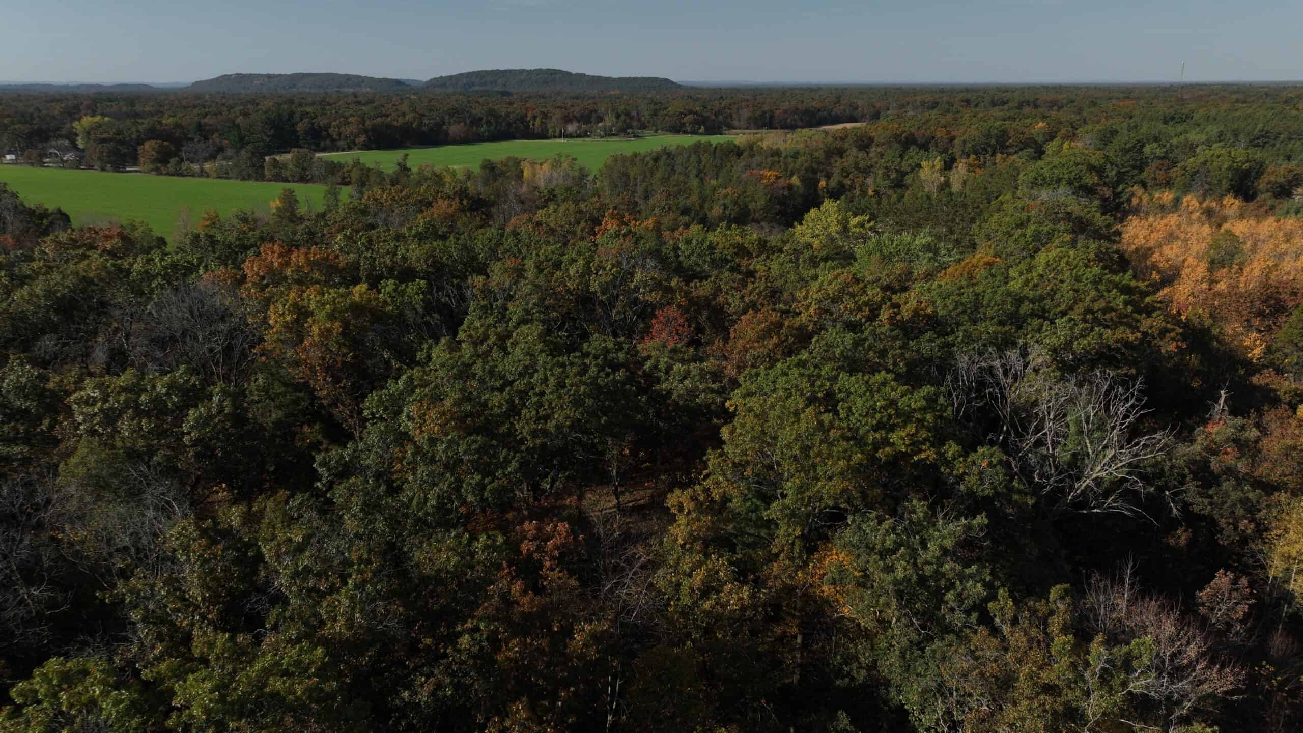 30-Acre Hunting & Camping Retreat with Food Plots, Well & RV Hookups | Adams County, Wisconsin