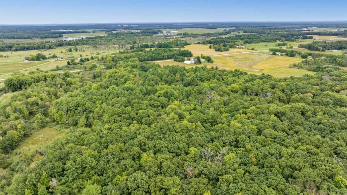 Proven big buck producer 121 Acres in Monroe County