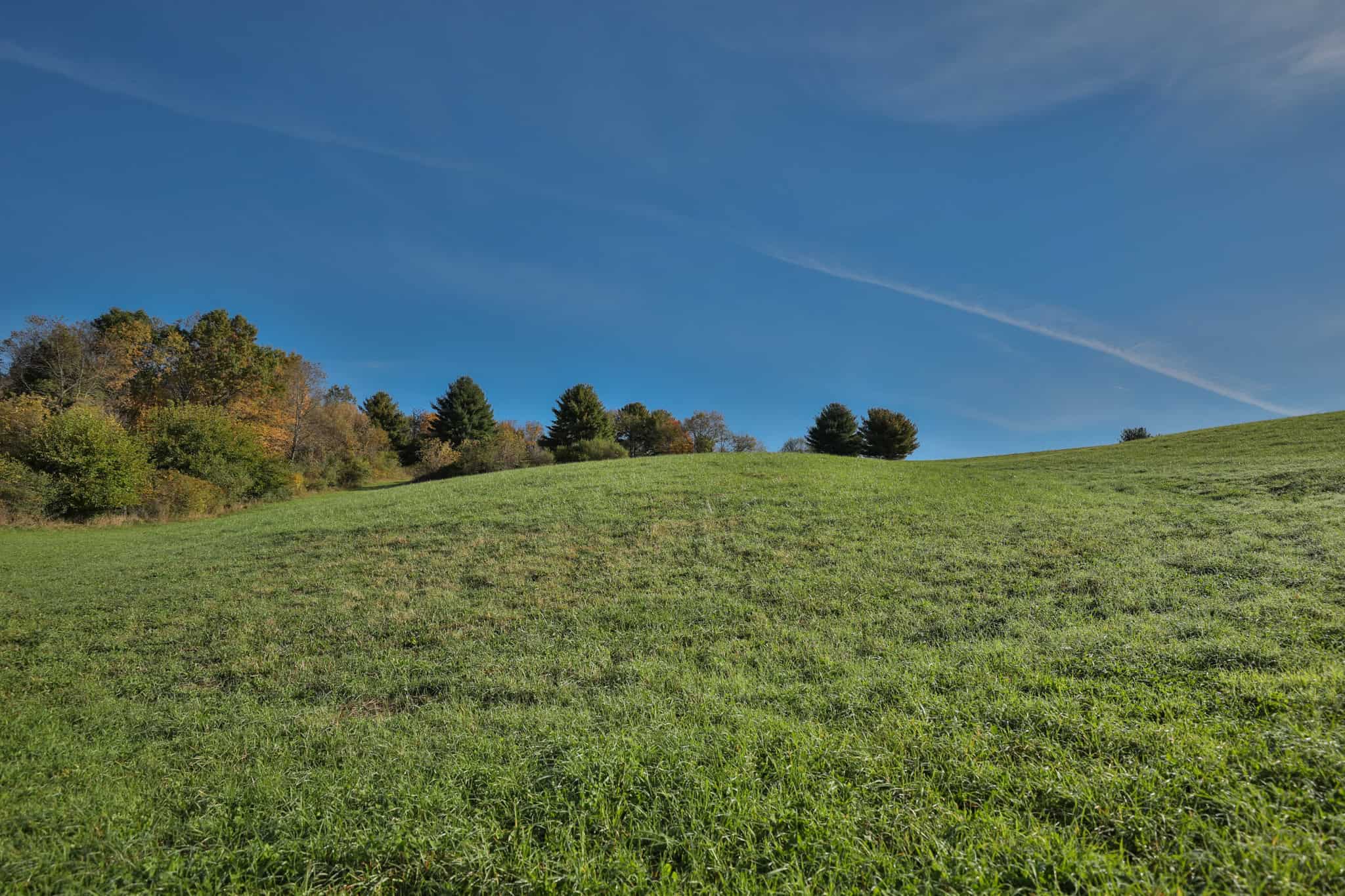 248+/- Acre Income-Producing Farm, Cattle Ranch & Hunting Estate in Richland County, Wisconsin