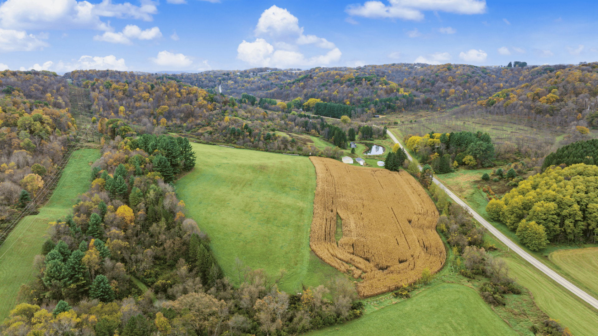 95.02-Acre Premier Whitetail Hunting Estate with Log Cabin, Pond & Spring-Fed Stream in Richland County, Wisconsin